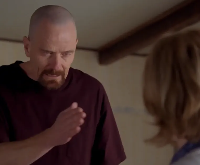 Breaking Bad - I Am The Danger cover