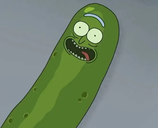 PICKLE RICKKKKK cover