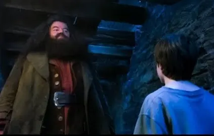 Yer a Wizard Harry cover